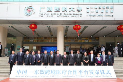 中國 東盟跨境醫(yī)療合作平臺正式啟用