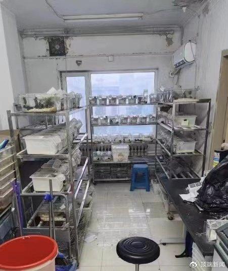 中國醫(yī)科大研一學生醫(yī)院實驗室猝死,家屬質(zhì)疑搶救時間,各方回應