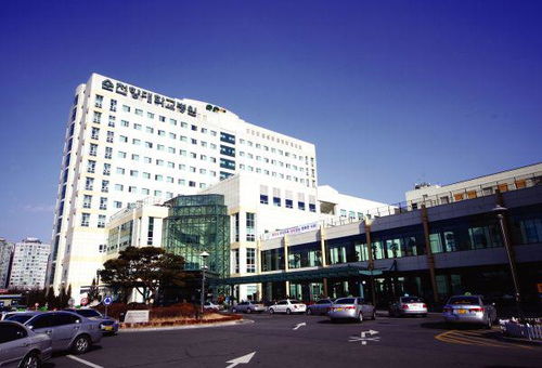 整容可以把一個胖子整成瘦子嘛