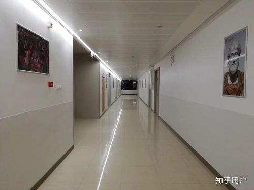 在廣西醫科大學就讀是一種怎樣的體驗