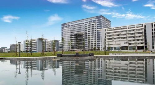 盤點8所新工學院,二本公辦底蘊深厚特色明顯