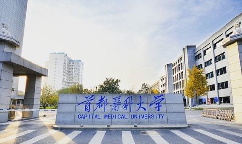 最好的4所醫科大學,社會認可度極高,第1被稱 醫學界珠峰