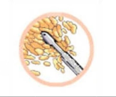 南寧醫(yī)科大整形科怎么樣 小編帶你探尋南寧醫(yī)科大整形科的前世今生