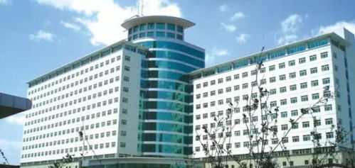 沈陽(yáng)人生活手冊(cè) 超級(jí)實(shí)用