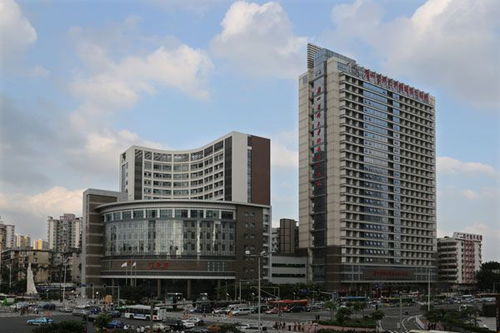 在這個(gè)季節(jié)遇見(jiàn)你,是我最大的幸運(yùn) 學(xué)員展示86 109