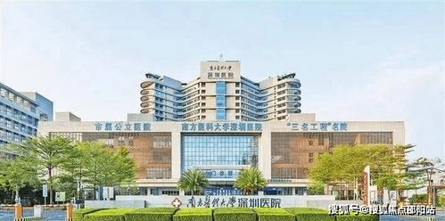 新錦安壹號公館 售樓處預約指南及樓盤綜合解析